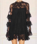 Black Lace Overlay Mini Dress