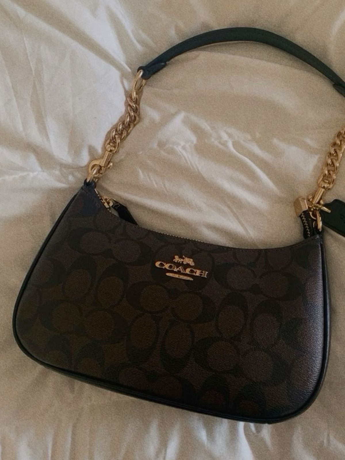 Pre-owned Small coach Teri bag